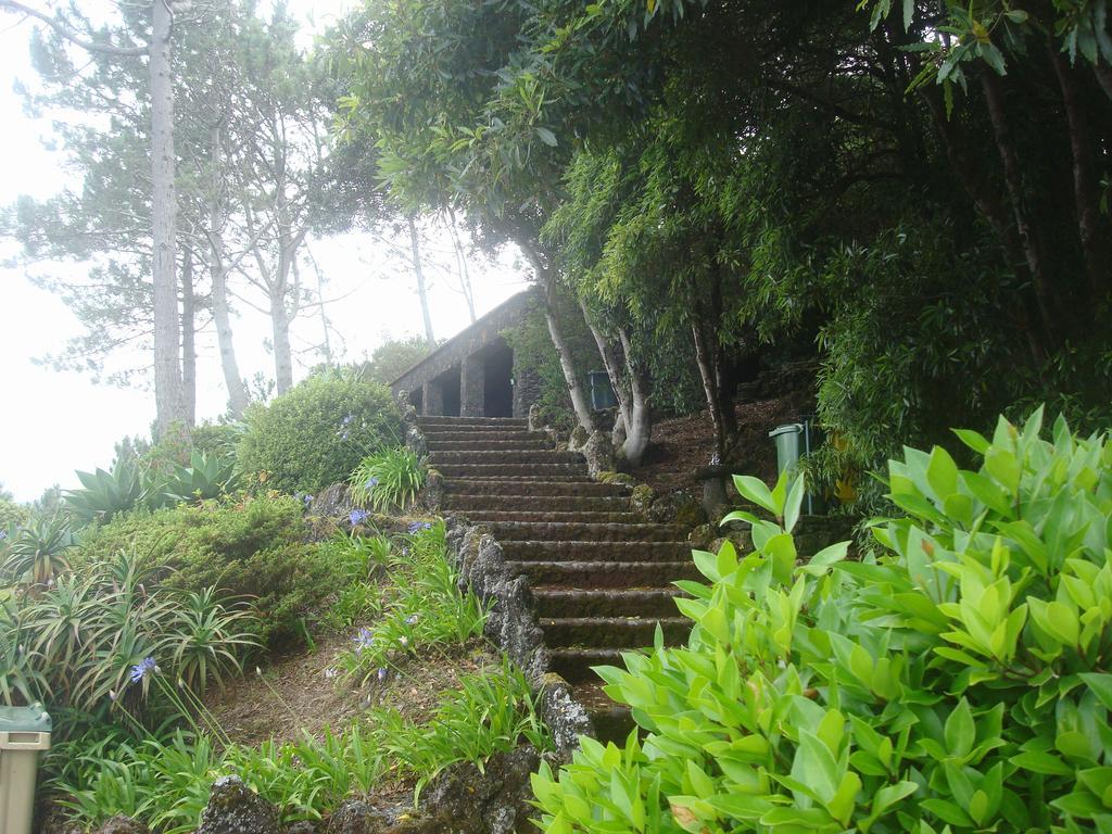 Vinea Lava Praia Campo Pico Prainha (Sao Roque do Pico) Exterior foto