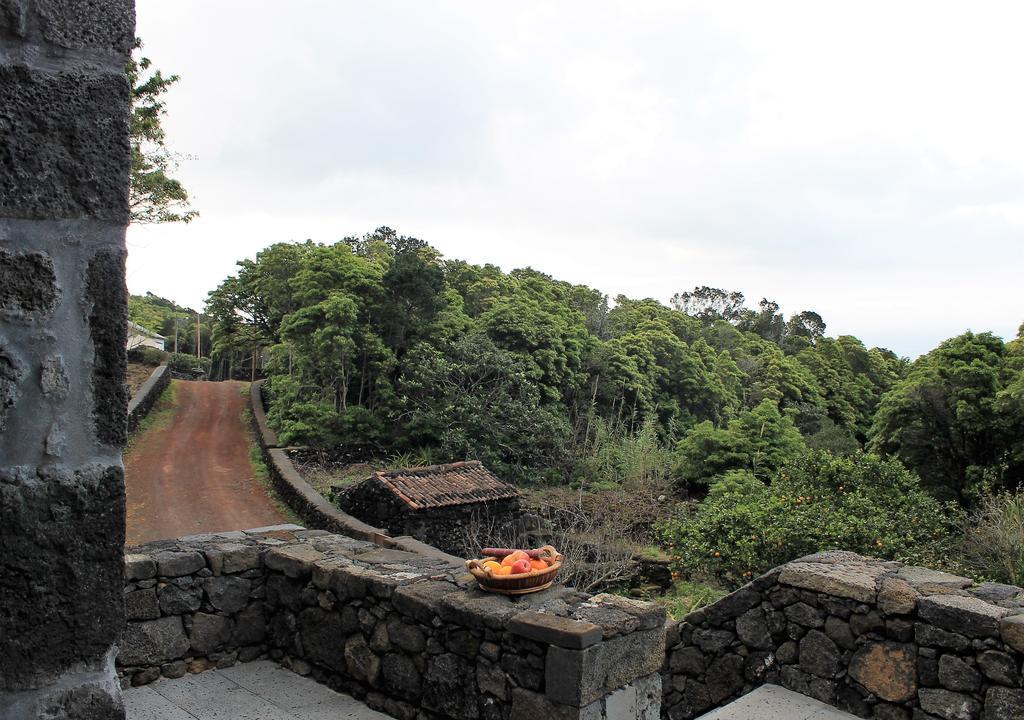 Vinea Lava Praia Campo Pico Prainha (Sao Roque do Pico) Exterior foto