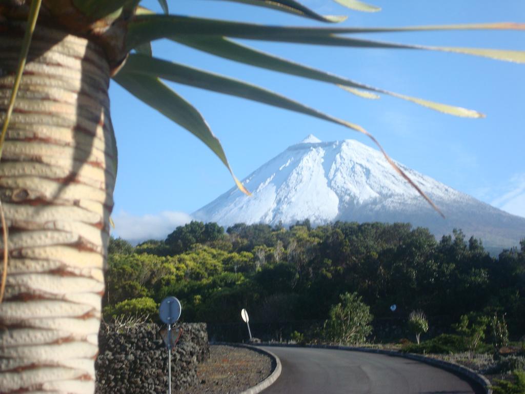 Vinea Lava Praia Campo Pico Prainha (Sao Roque do Pico) Exterior foto